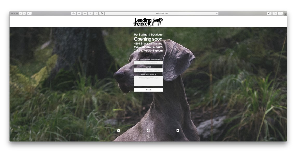 LTPGROOMING WEBSITE